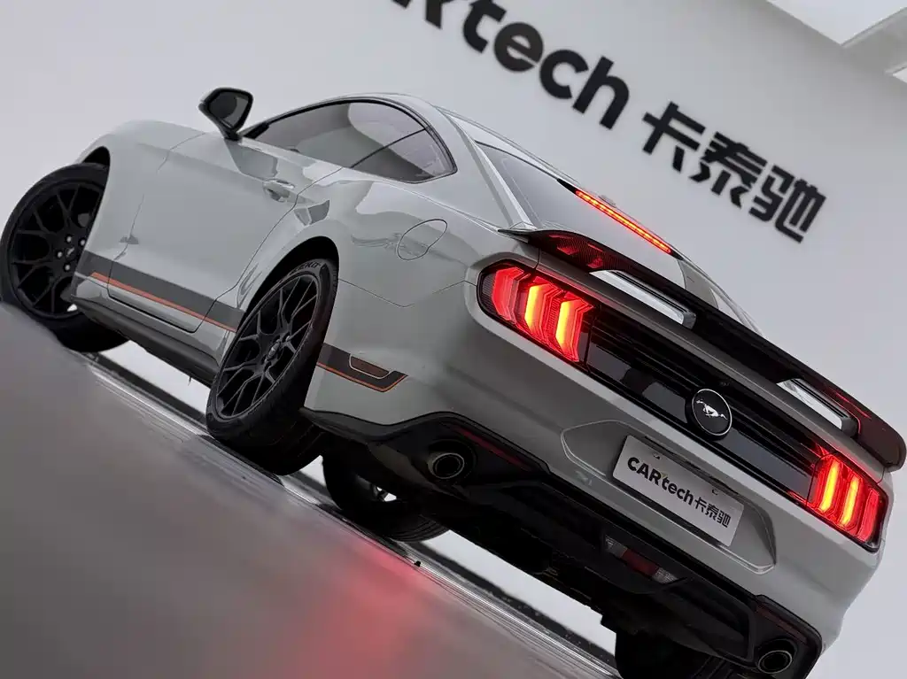 Ford Mustang — миниатюра 22