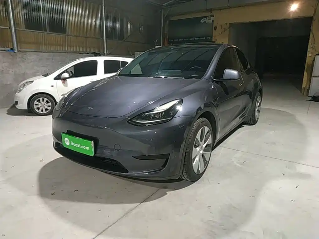 Tesla Model Y — миниатюра 2