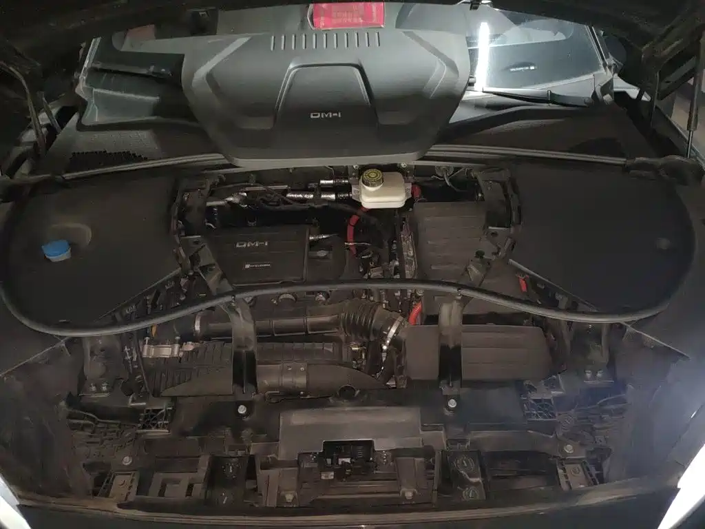 BYD PLUS New Energy — миниатюра 21