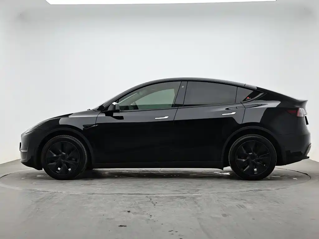 Tesla Model Y — миниатюра 6