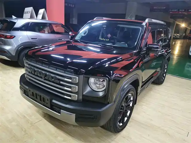 HAVAL  RAPTORS NEW ENERGY 2024