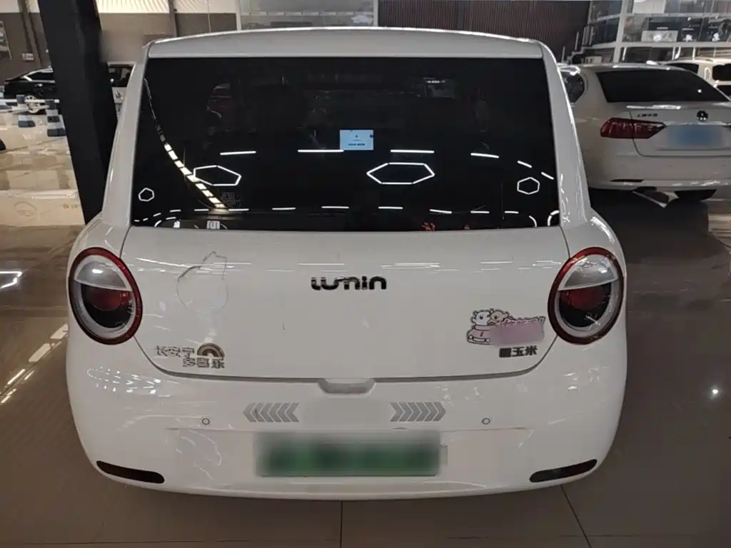 Qiyuan Lumin — миниатюра 6