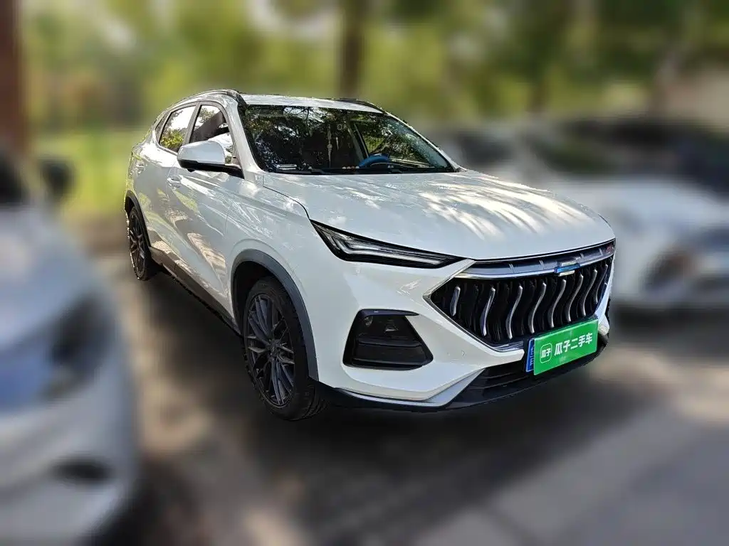 Oshan Oushang X5 — миниатюра 23