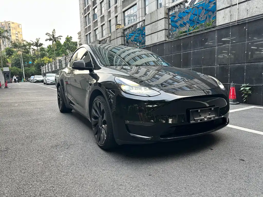 Tesla Model Y — миниатюра 2