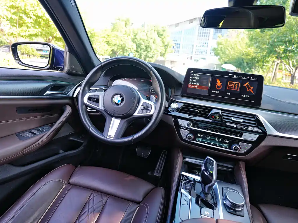 BMW 5 Series (Import) — миниатюра 9