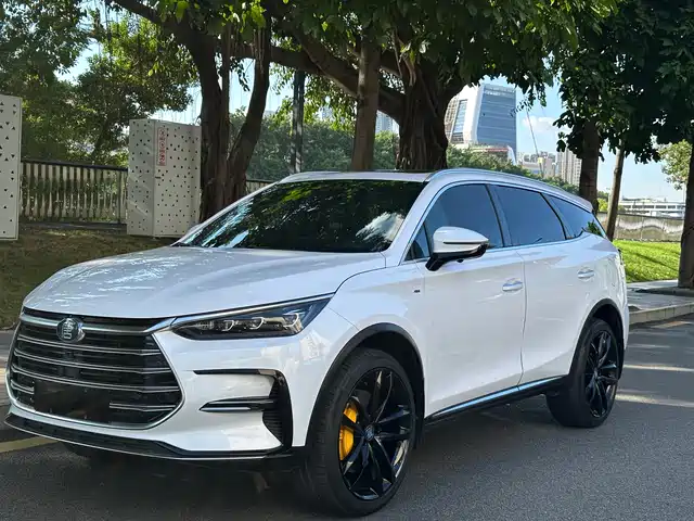 BYD TANGXIN ENERGY 2021