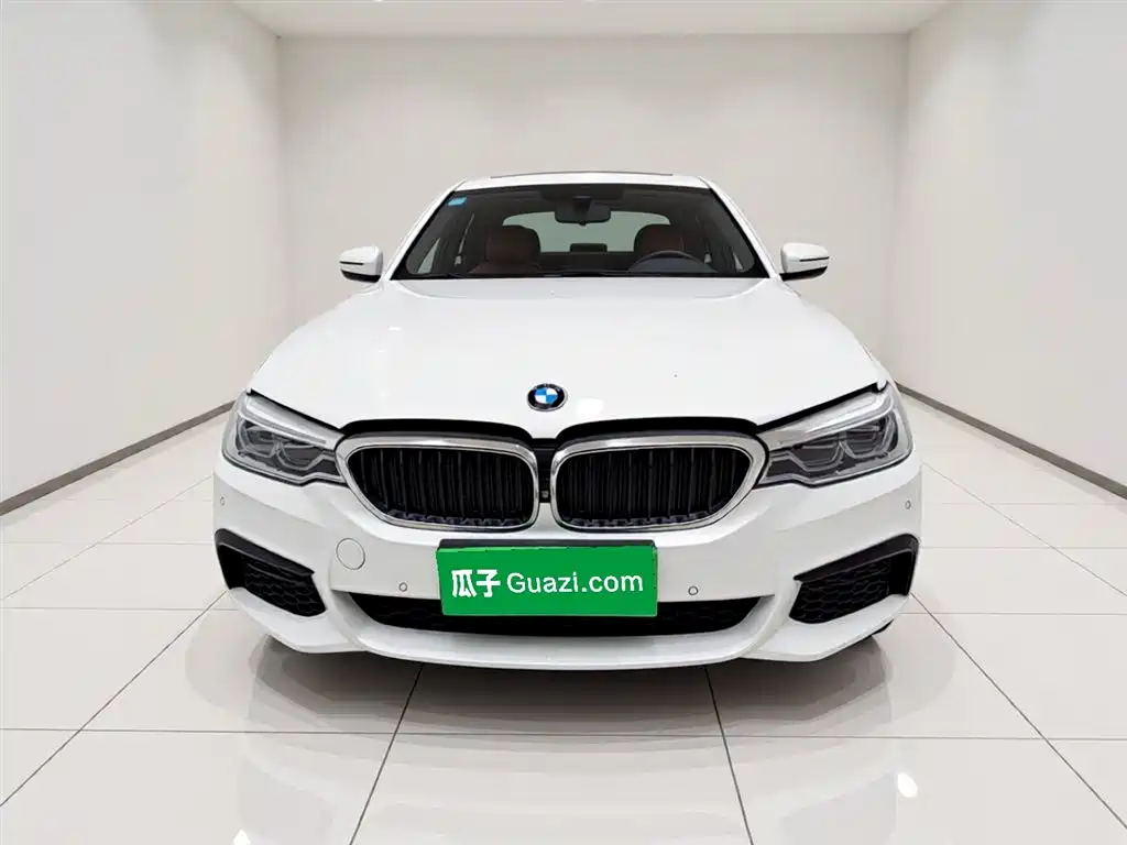 BMW 5 Series 5 2020 530Li Premium M Sport