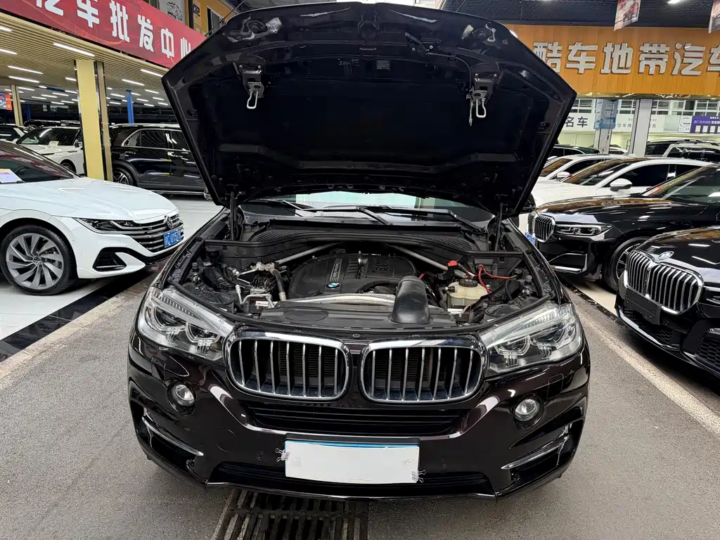 BMW X5 (Import) — миниатюра 20