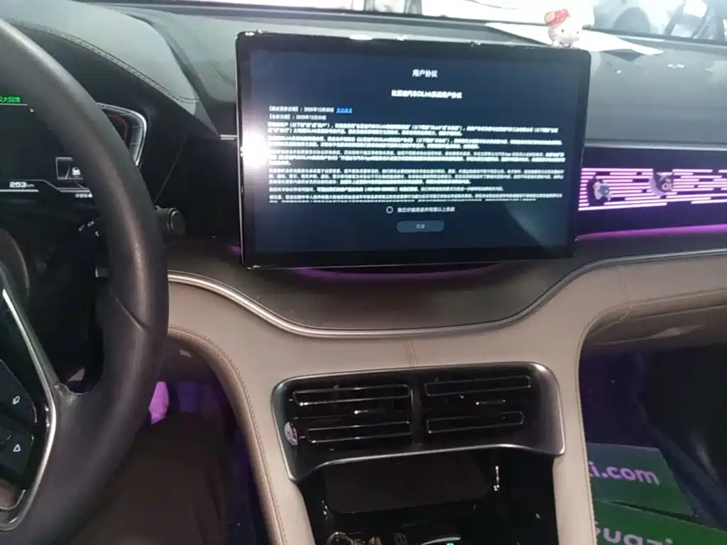 BYD PLUS New Energy — миниатюра 13