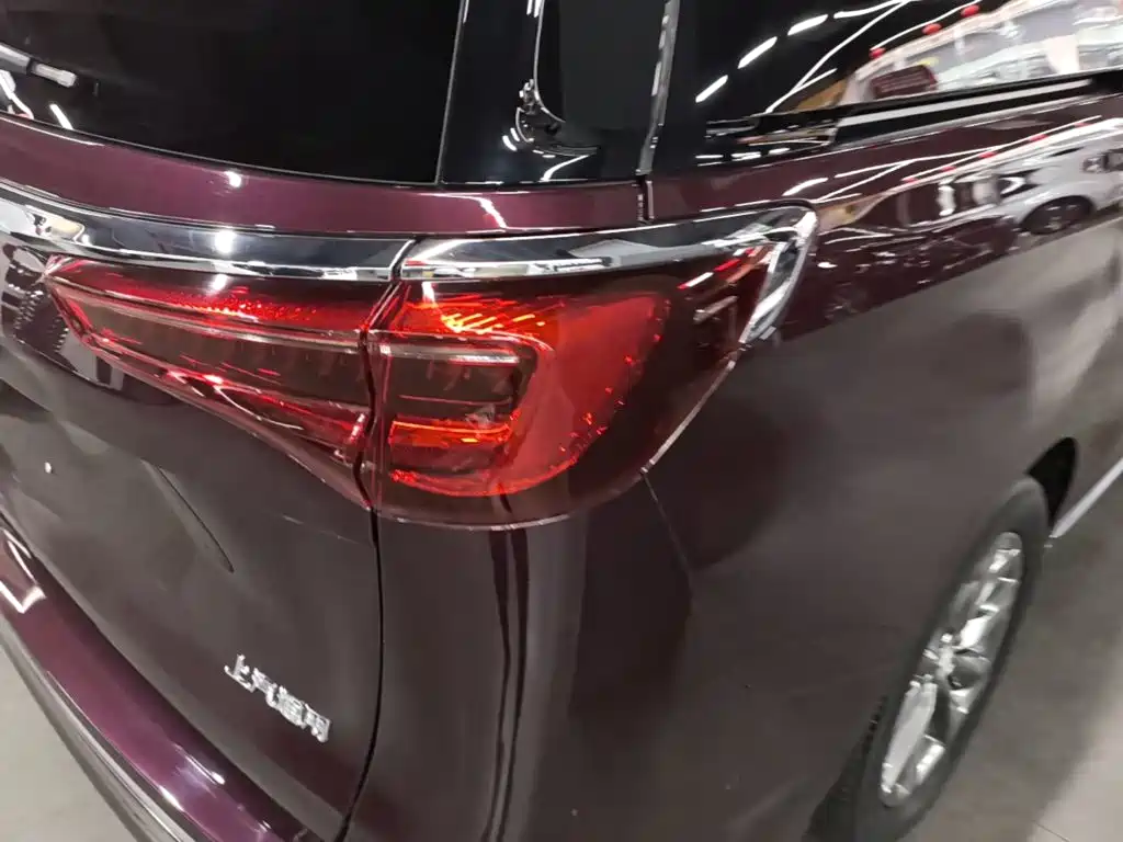 Buick GL8 — миниатюра 8