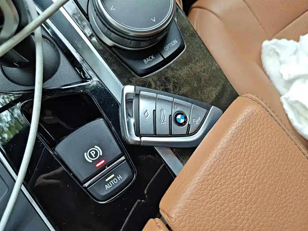 BMW 5 Series 5 2020 530Li Premium M Sport