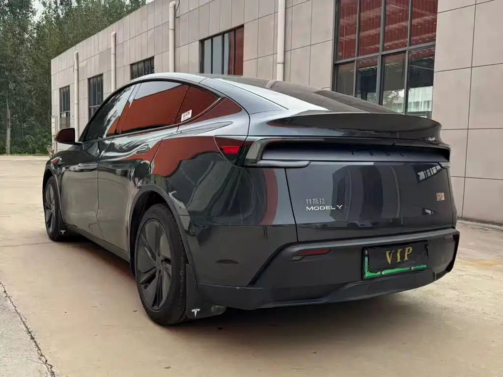 Tesla Model Y — миниатюра 5