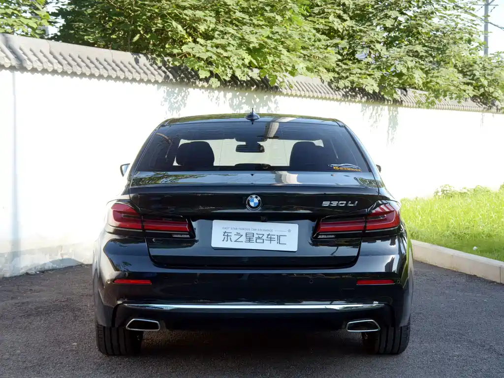 BMW 5 Series — миниатюра 11