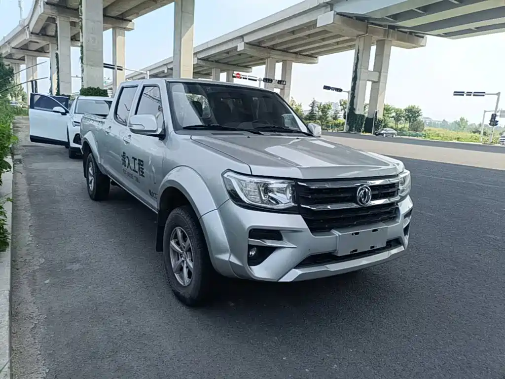 Dongfeng Rich — миниатюра 4