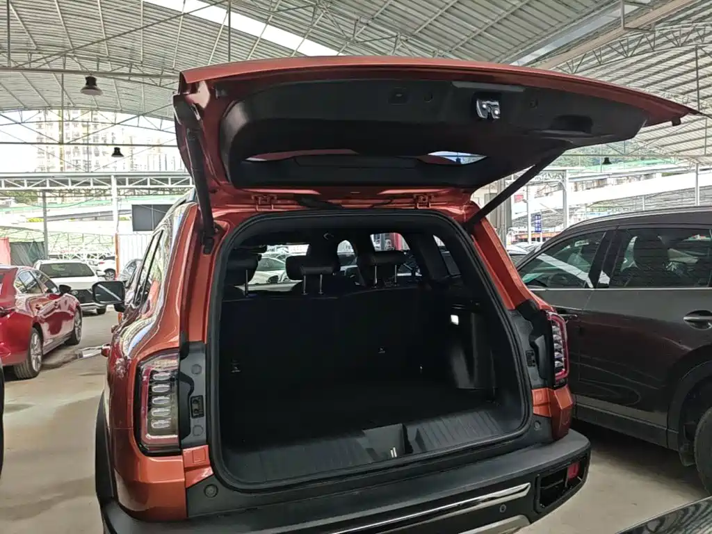 Haval Big Dog — миниатюра 19