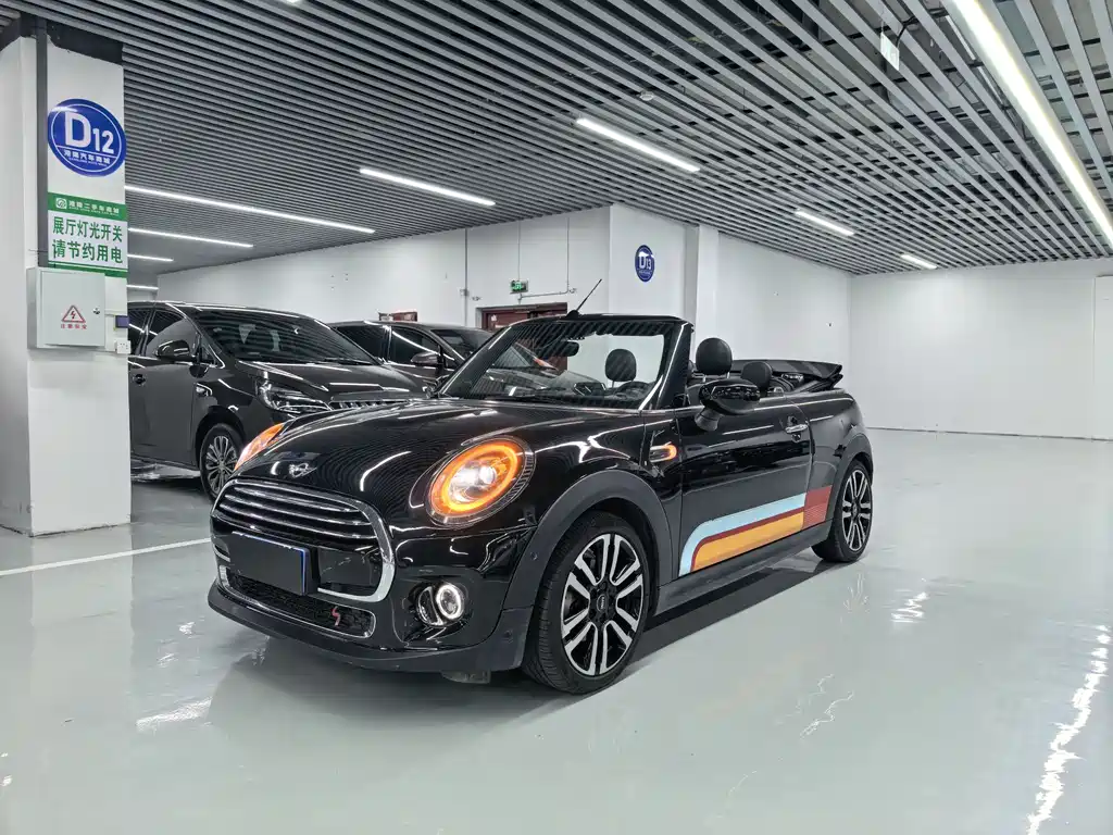 Mini Mini 2019