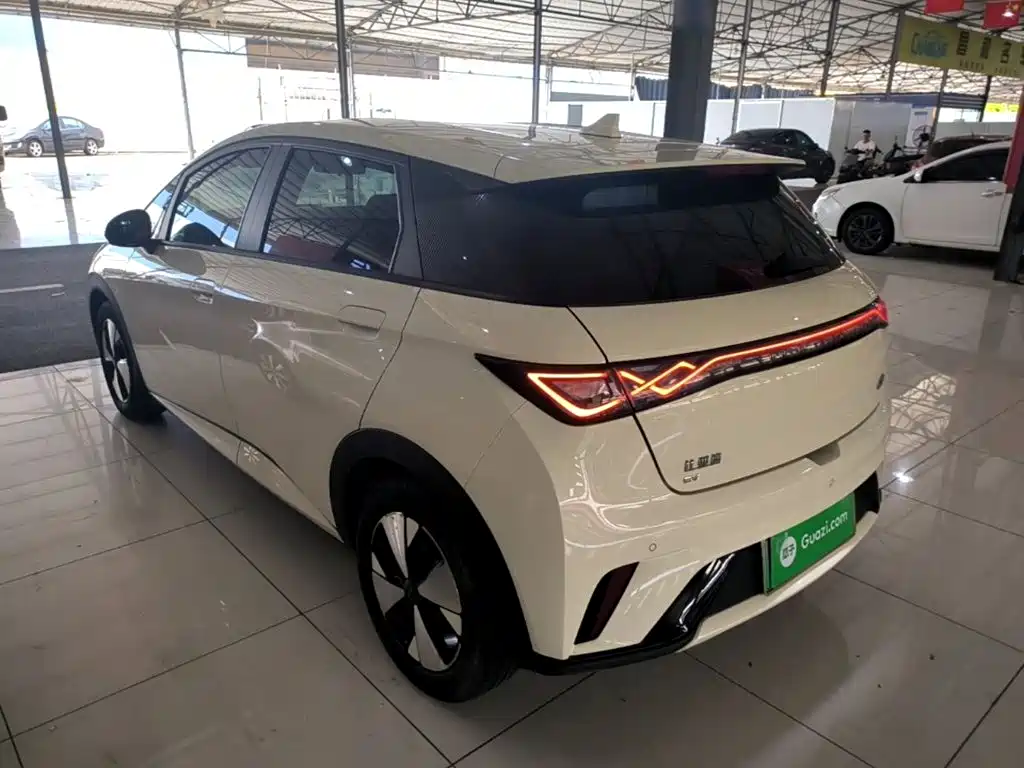 BYD Dolphin — миниатюра 5
