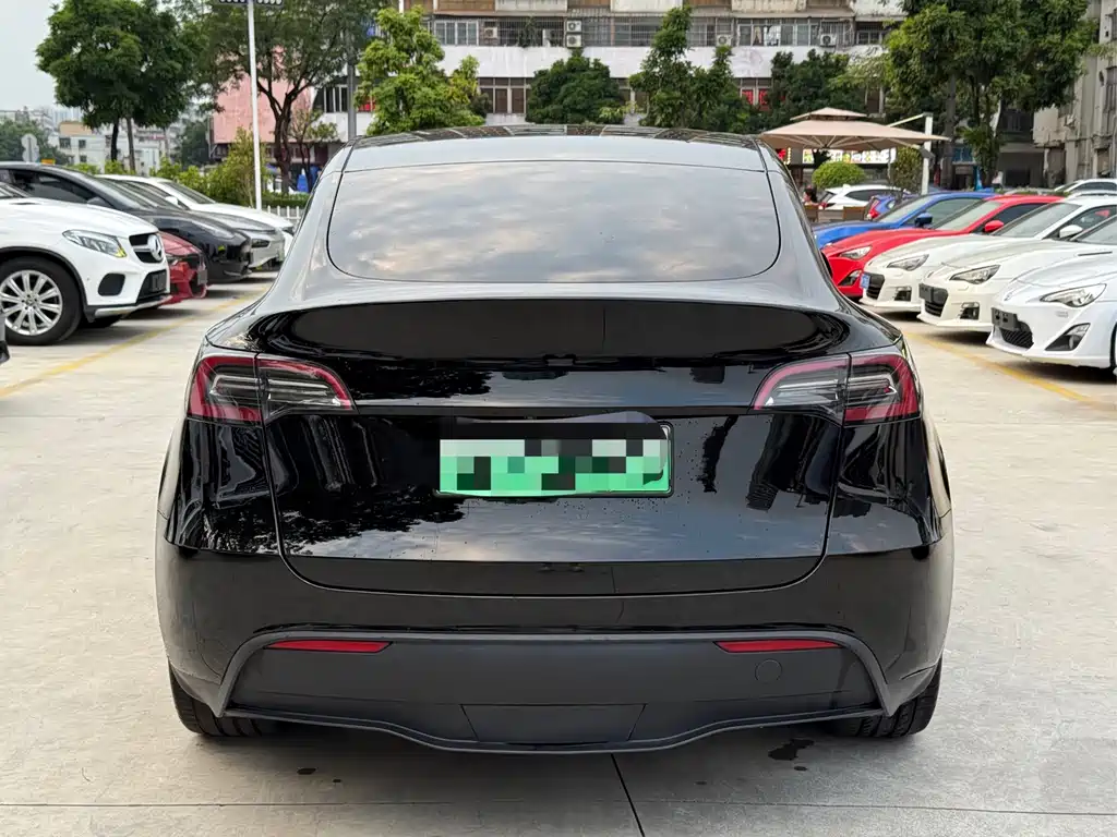 Tesla Model Y — миниатюра 5