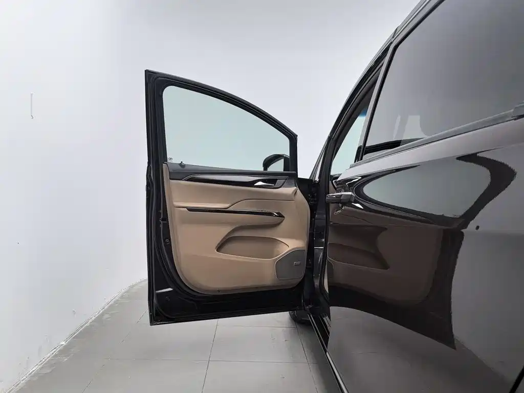 Buick GL8 — миниатюра 8
