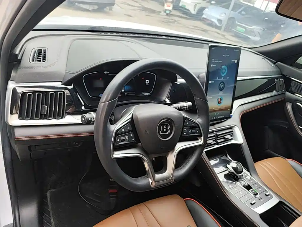 BYD PLUS — миниатюра 10