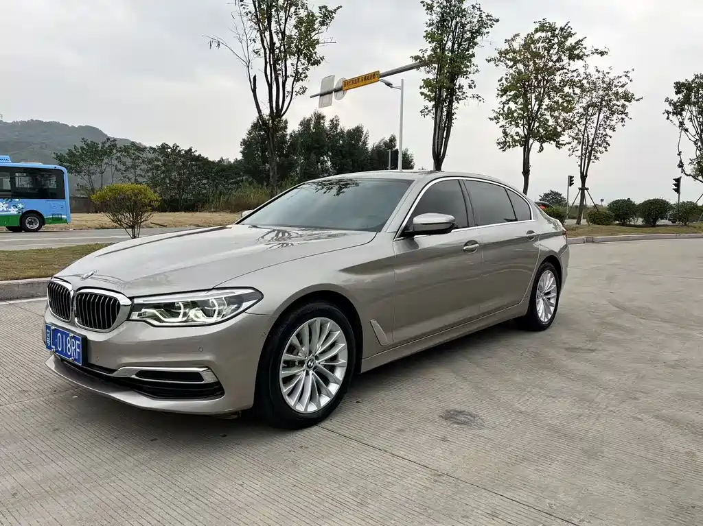 BMW 5 Series 2019
