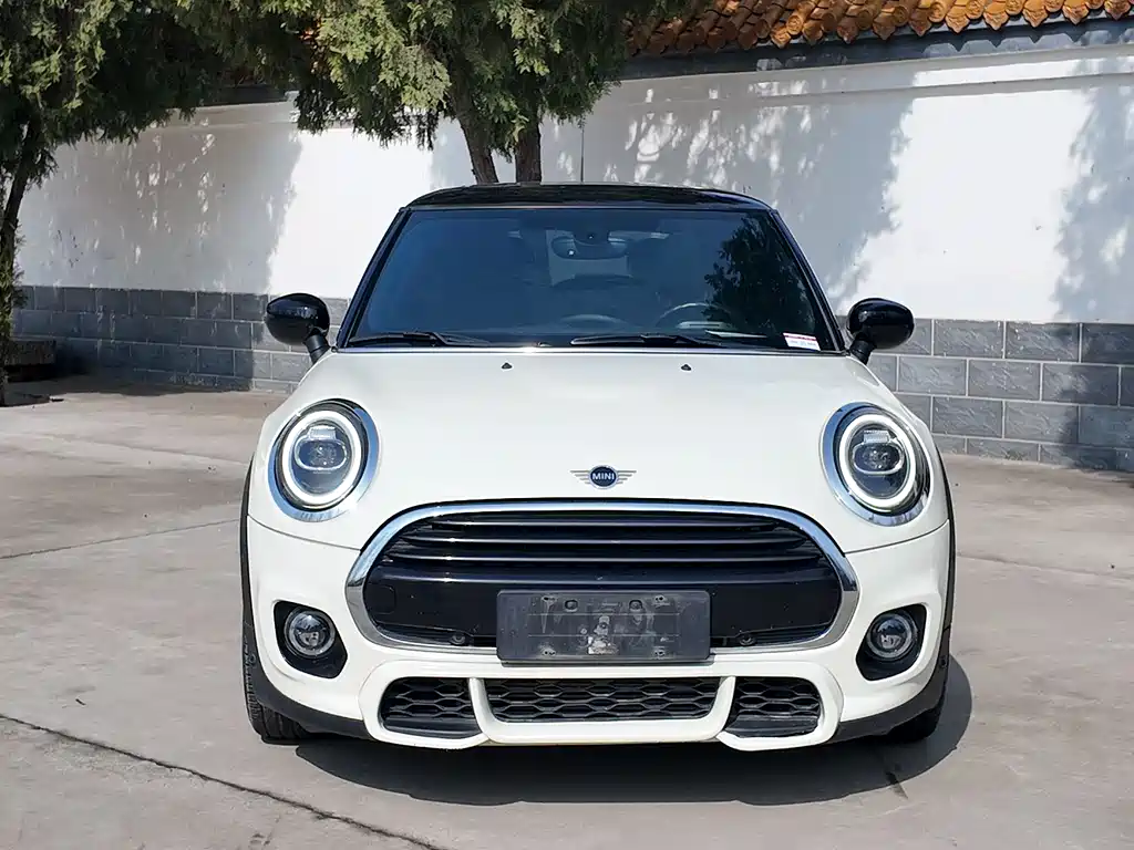 Mini Mini 2021