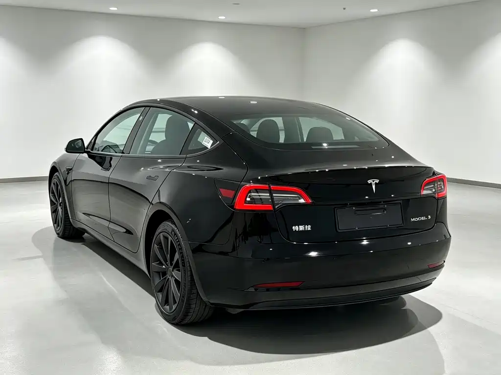 Tesla Model 3 — миниатюра 4