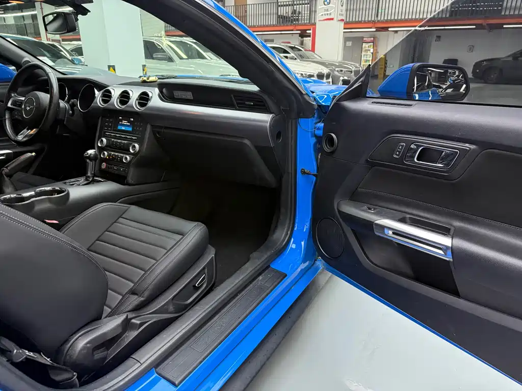 Ford Mustang — миниатюра 14