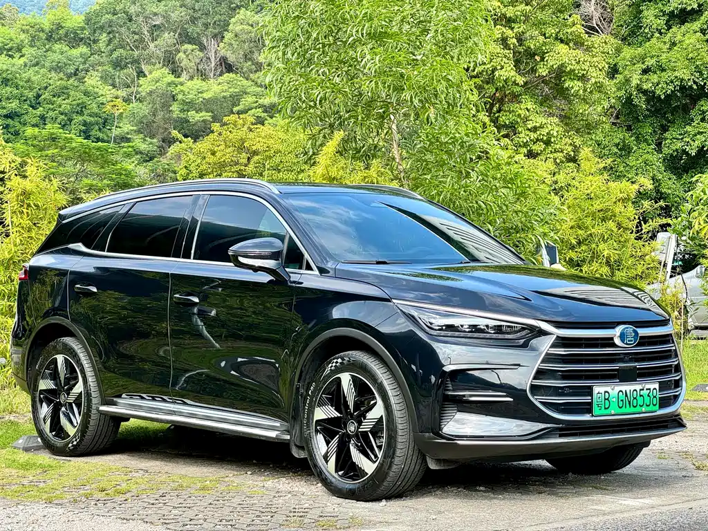 BYD Tang New Energy — миниатюра 3