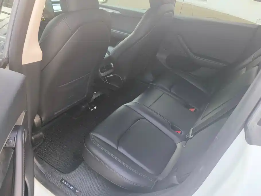 Tesla Model Y — миниатюра 11