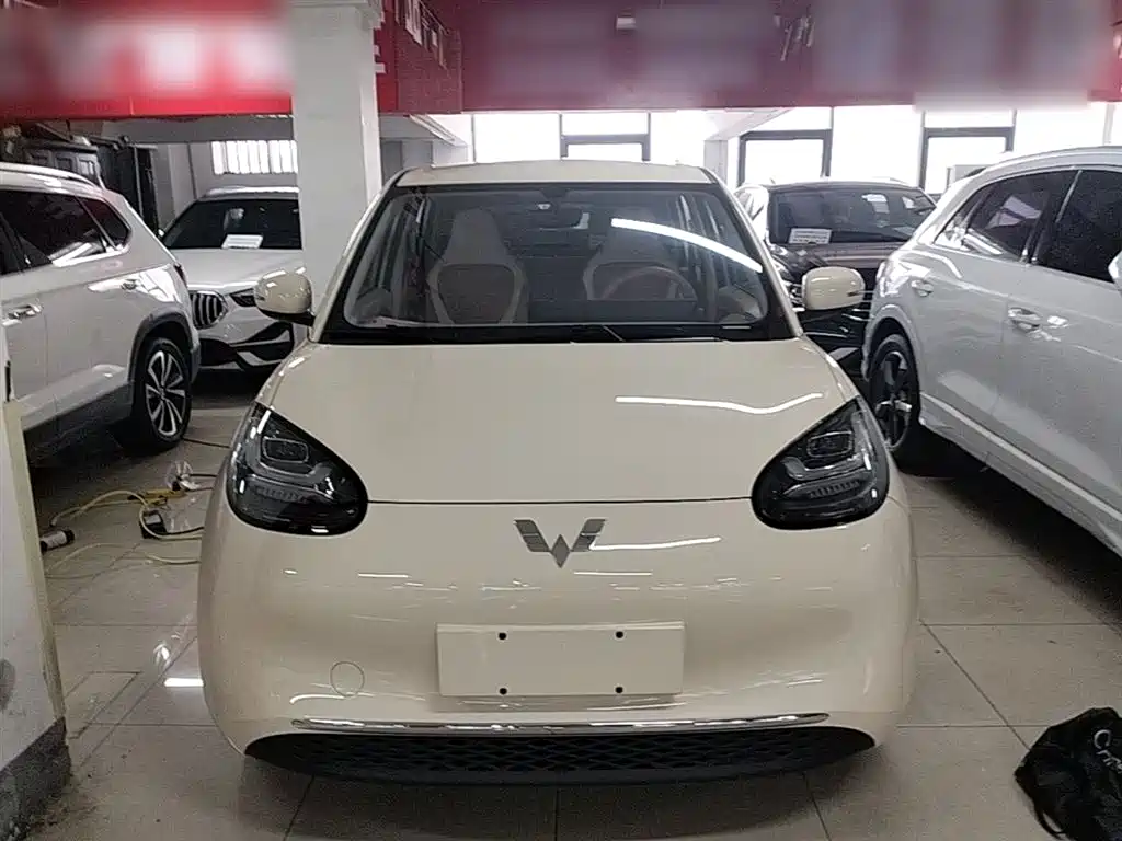 Wuling Binguo 2025 333km