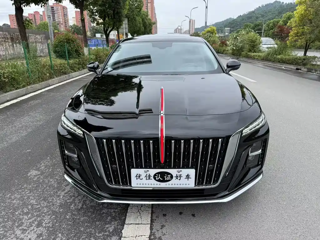 Hongqi H5 2024 2.0T AT