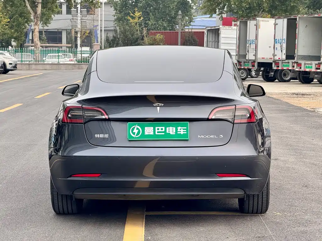 Tesla Model 3 — миниатюра 11