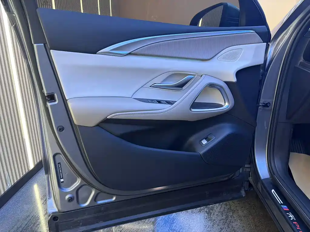 BYD Pro New Energy — миниатюра 10