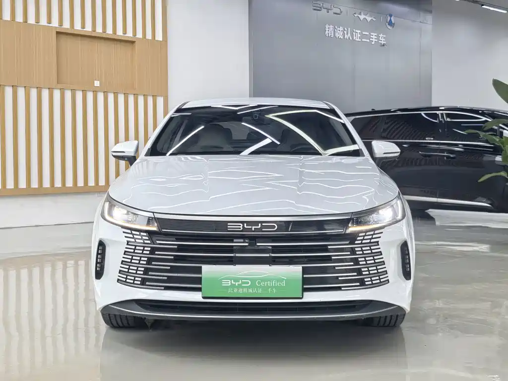 BYD Destroyer 05 — миниатюра 2
