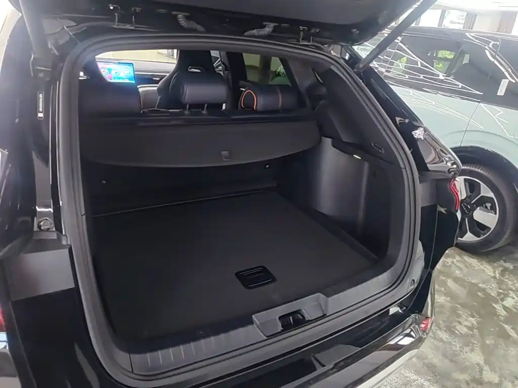 BYD PLUS New Energy — миниатюра 19