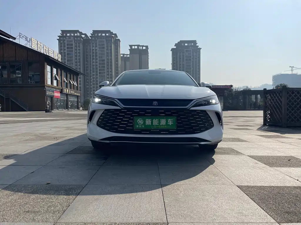 BYD QIN L
