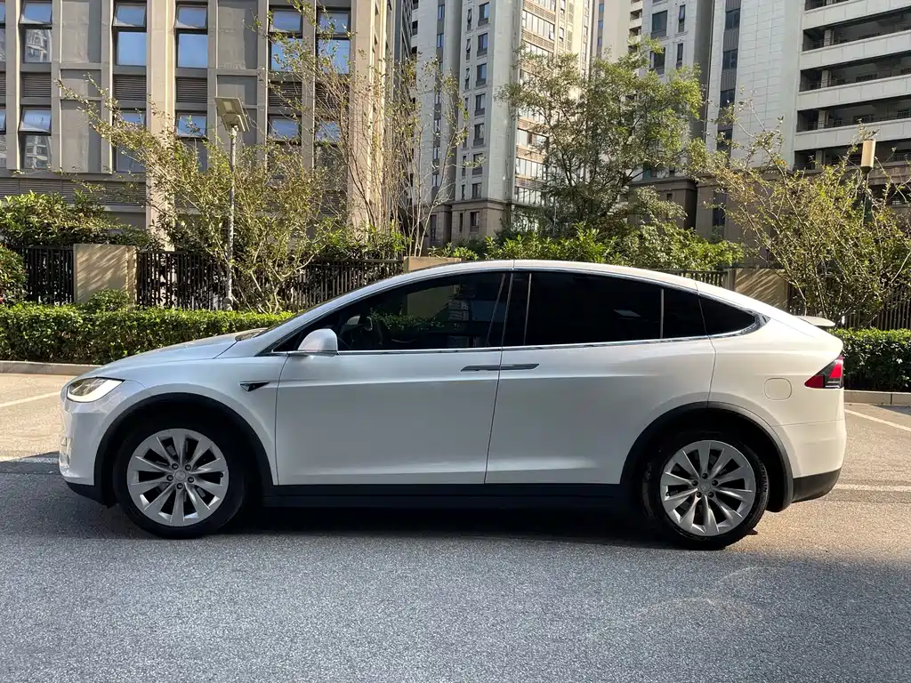 Tesla Model X — миниатюра 5
