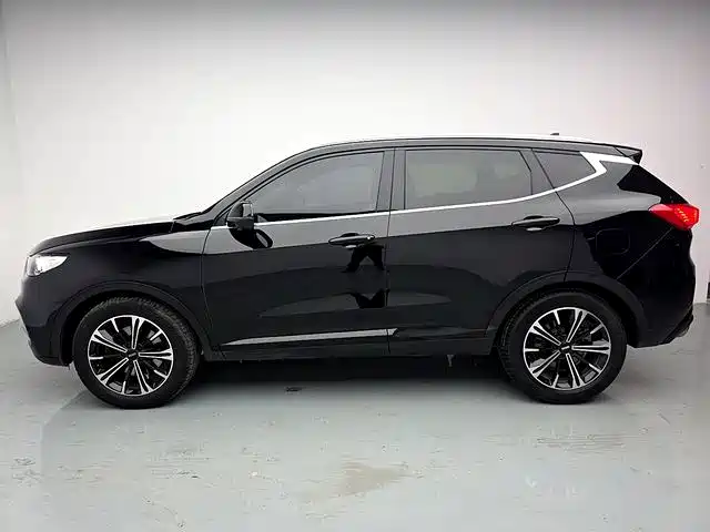 Wey Wey VV6 — миниатюра 6
