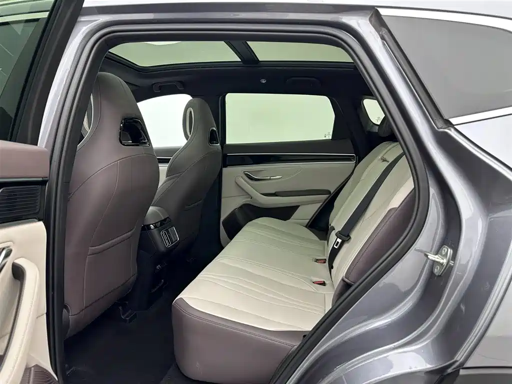 BYD SONGJIANG NEW ENERGY