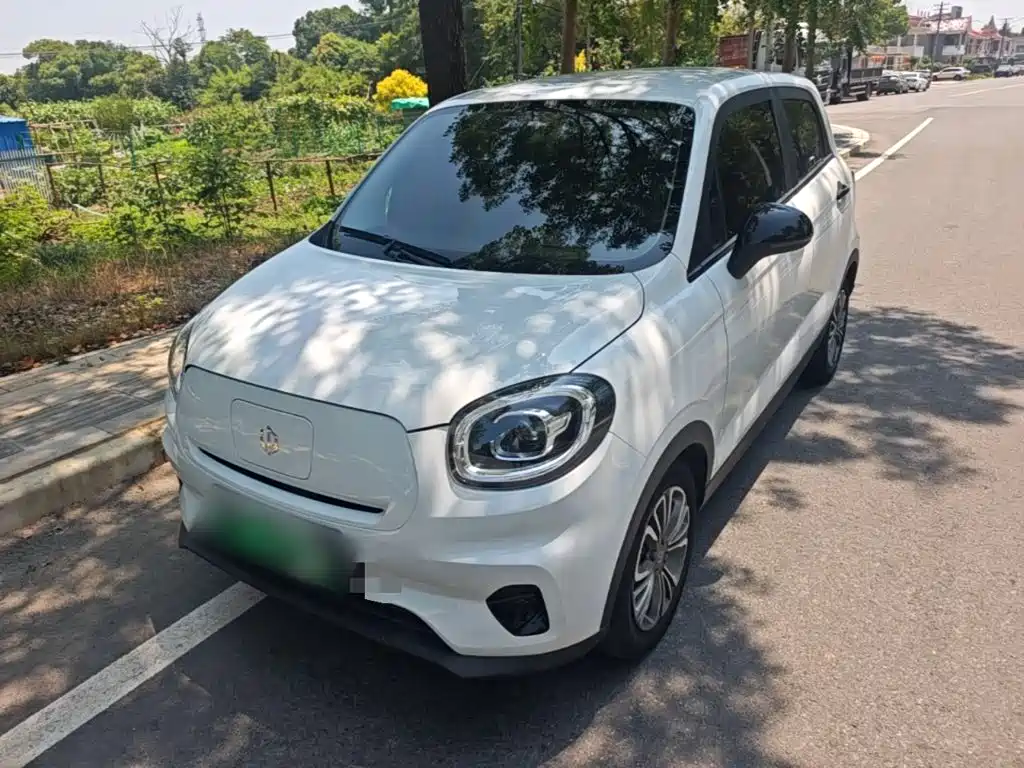 Leapmotor T03 2024 310