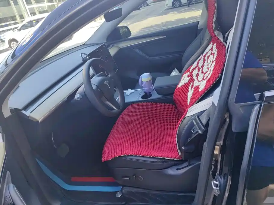 Tesla Model Y — миниатюра 9