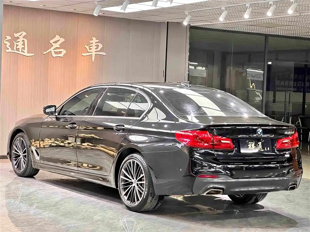 BMW 5 Series — миниатюра 7