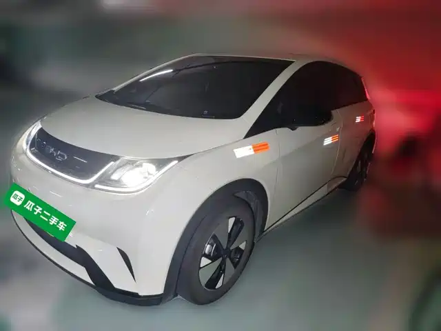 2023 BYD Dolphin