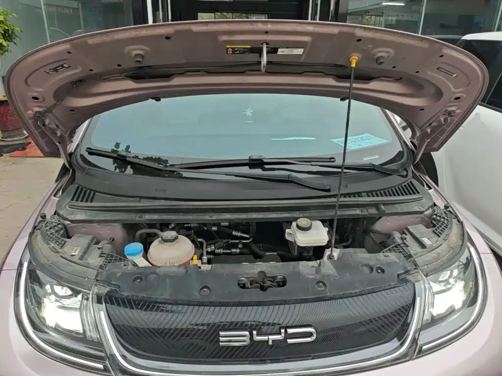 BYD Dolphin — миниатюра 20