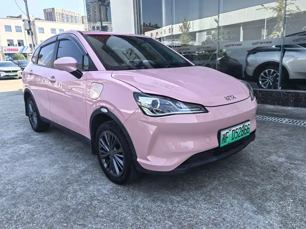 Neta Neta V — миниатюра 3