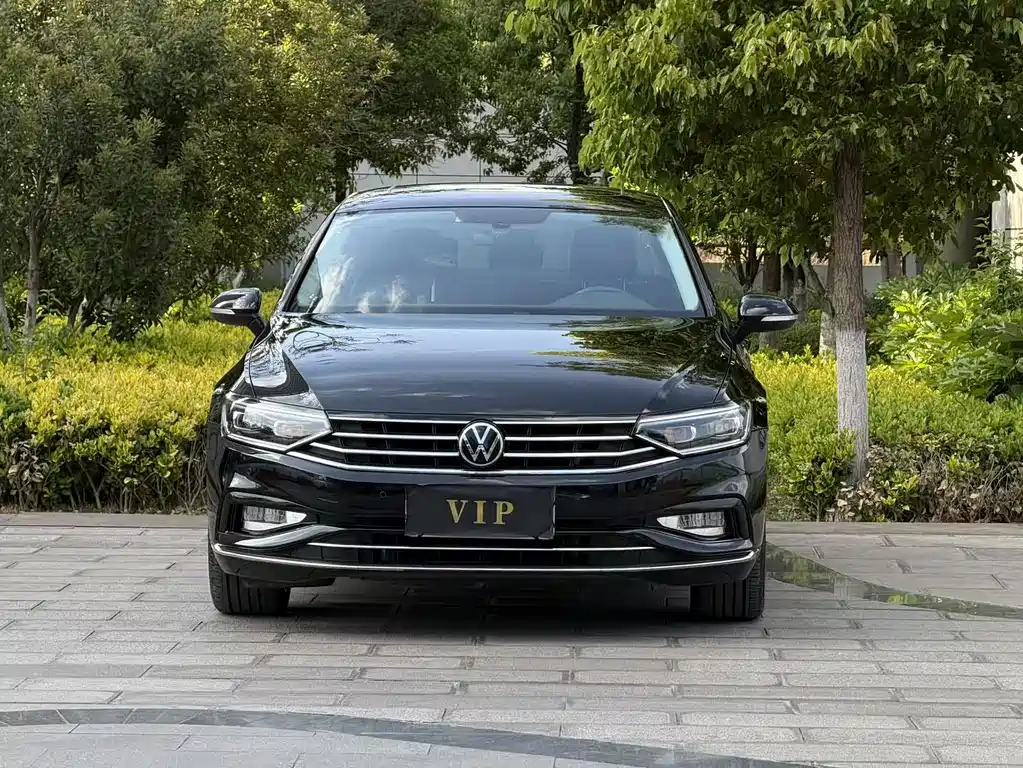 Volkswagen Magotan 2020 330TSI DSG Luxury