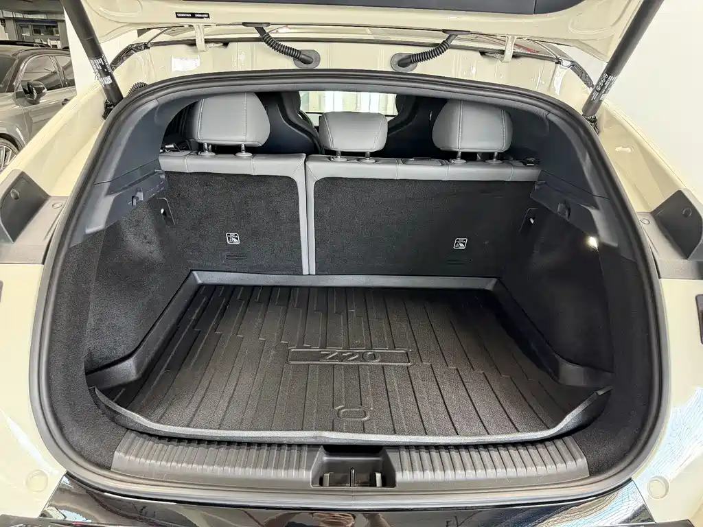 Lynk & Co Z20 2025 530km Pro
