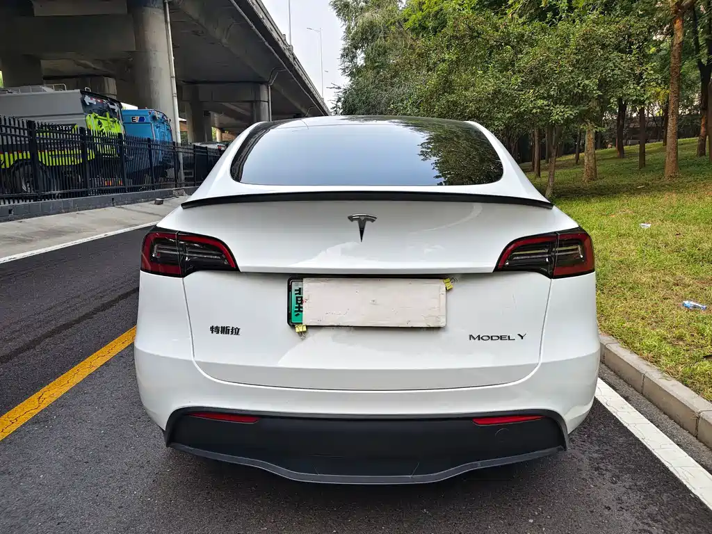Tesla Model Y — миниатюра 4