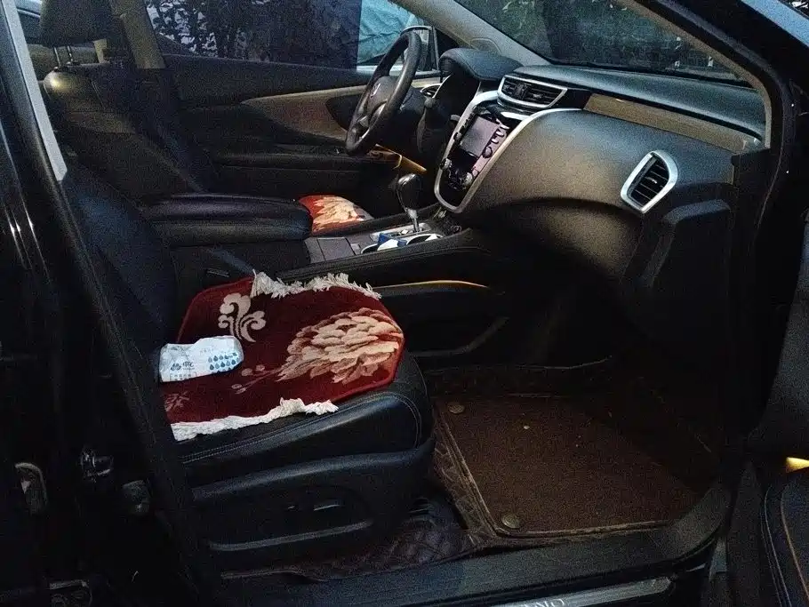 Nissan Murano — миниатюра 8